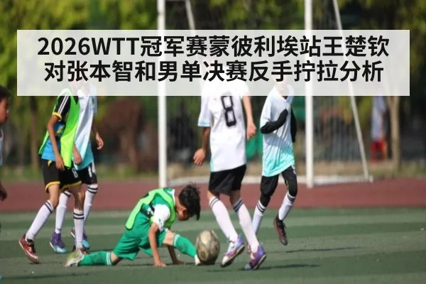 2026WTT冠军赛蒙彼利埃站王楚钦对张本智和男单决赛反手拧拉分析 - NG28