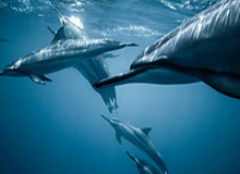 南宫28-英超-谢什科替补破门 曼联1-0埃弗顿位居第四